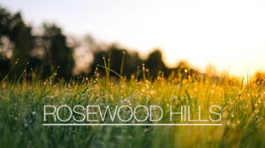 rosewood hills